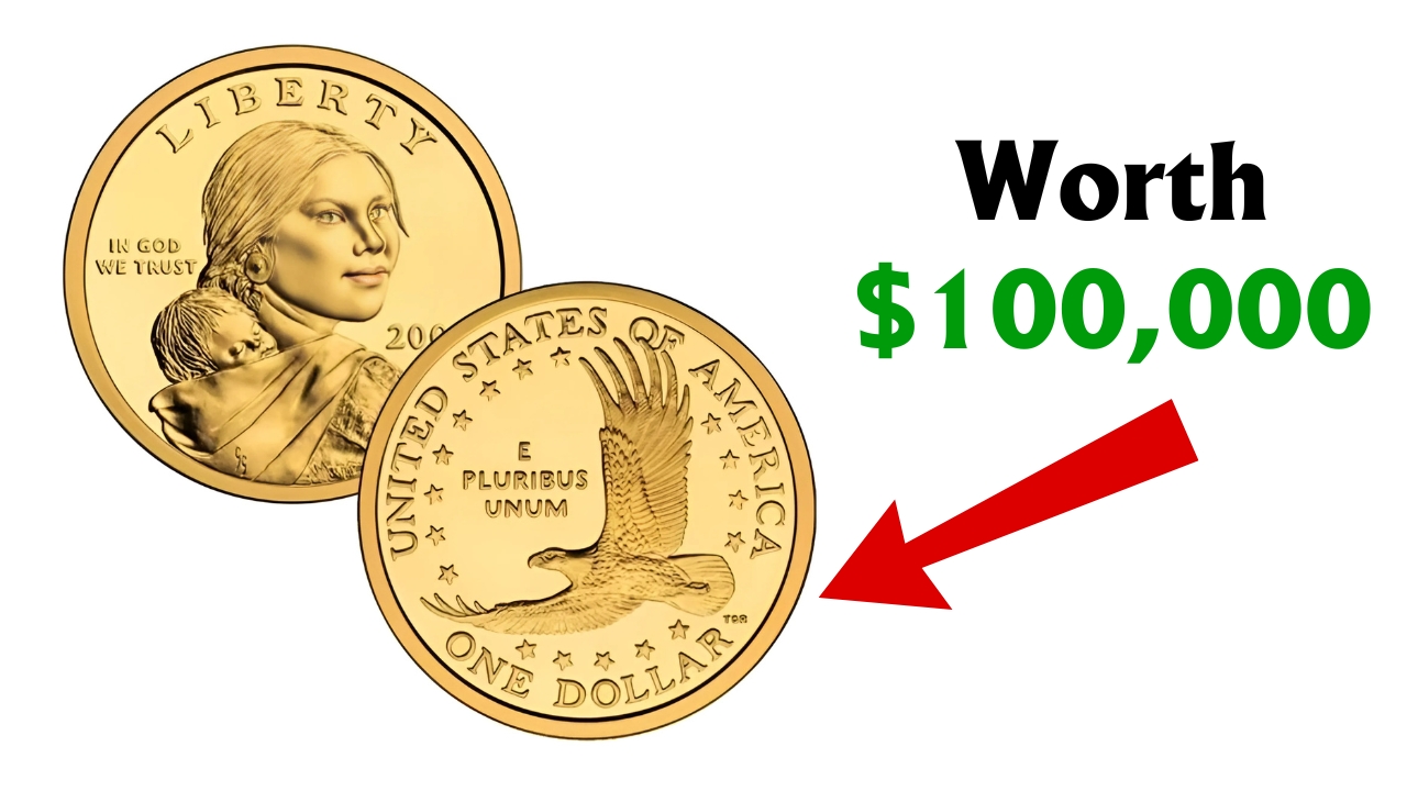 Sacagawea Dollar Rare Coin